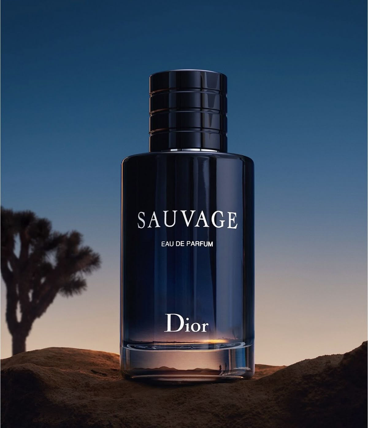 Savage Perfume عطر سوفاج الازرق
